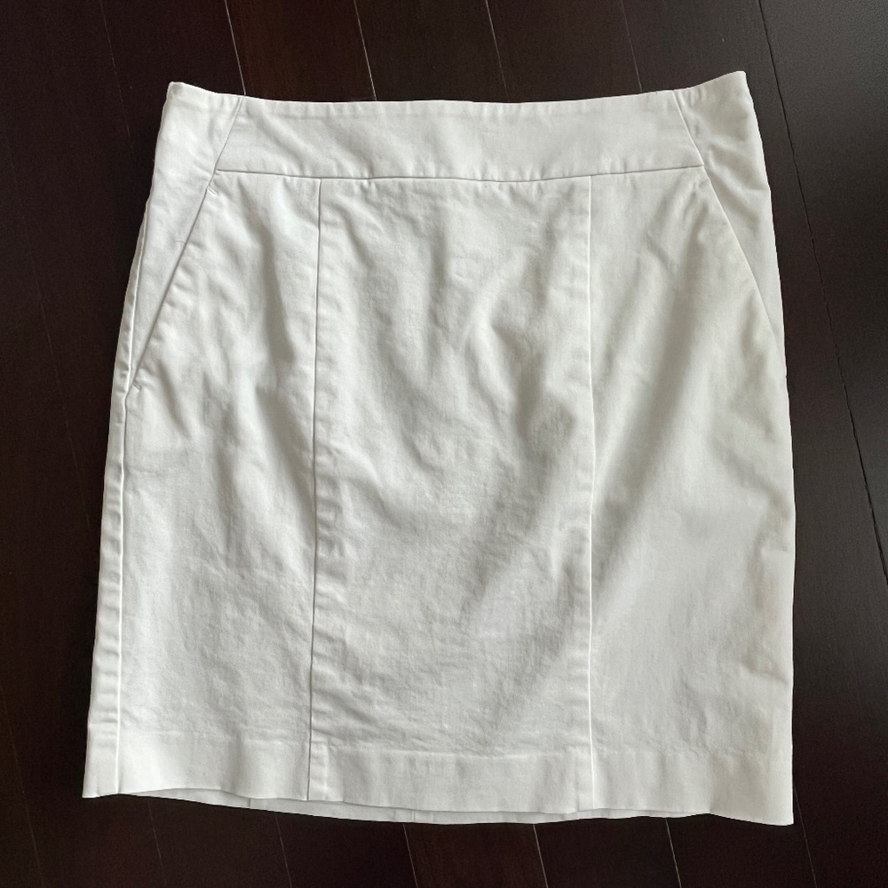 Ann Taylor skirt